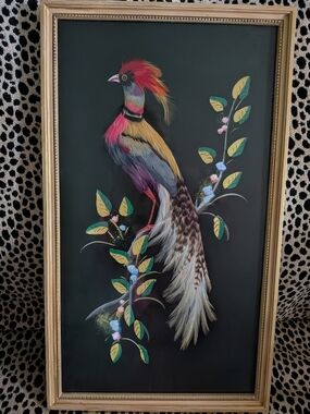 Framed Feather Bird Wall Art - Multicolor